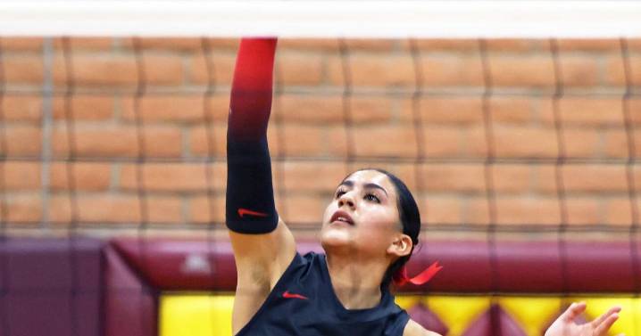 Hawks, Lobos rack up volleyball honors