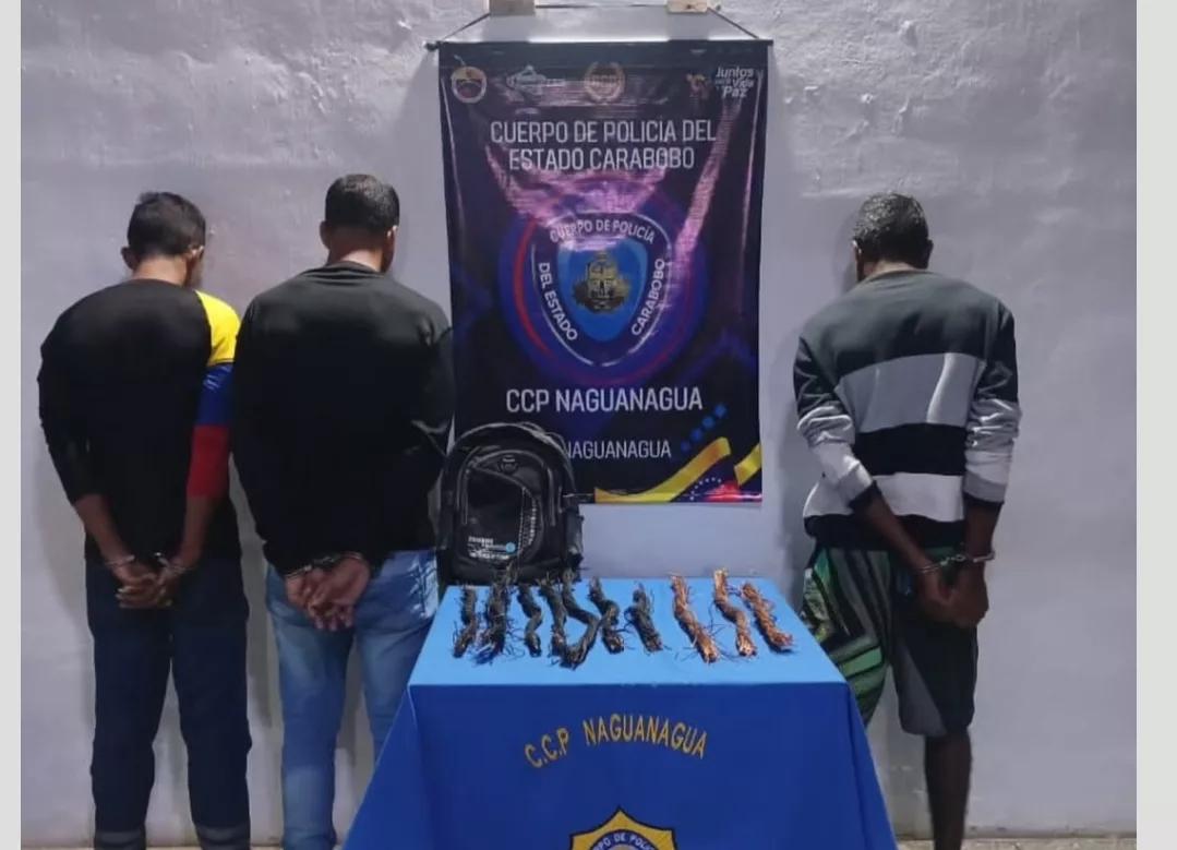 Capturados tres sujetos por hurto de material estratégico en Naguanagua