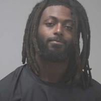 High-speed chase ends with dog bite and crashed stolen car