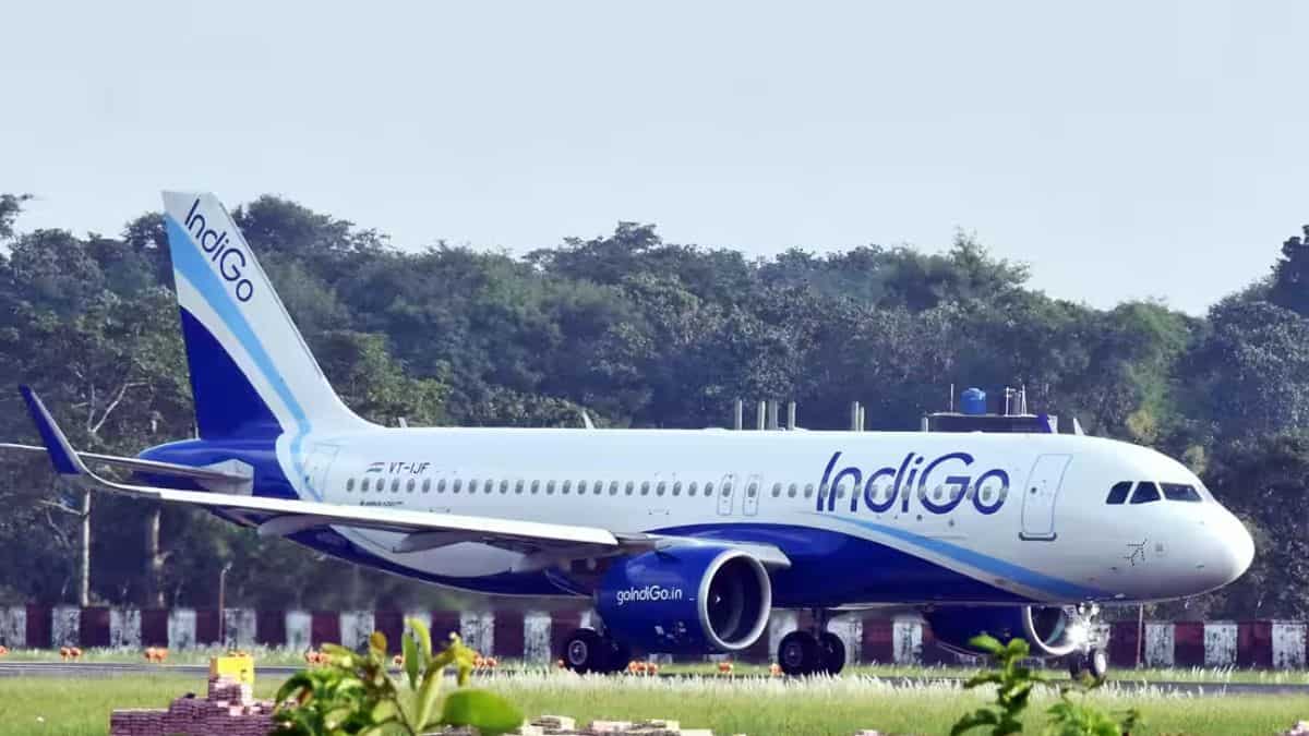 IndiGo chaos sparks monopoly debate as flight cancellations disrupt India’s skies