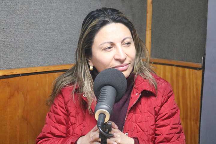 Diputada (e) Valdebenito pide claridad al Gobierno para resolver problema de puente presidente Ibáñez