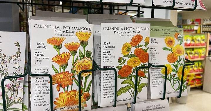 Sow seeds now for a cotage garden in the spring