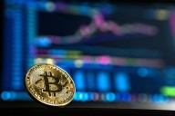 Las ballenas más grandes: ¿quiénes son los mayores tenedores de Bitcoin en el mundo?