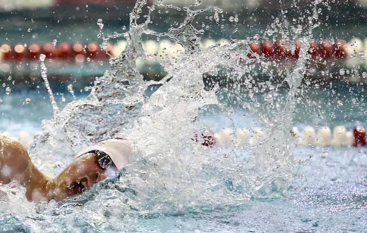 Boys swimming and diving: A poolside primer for 2025