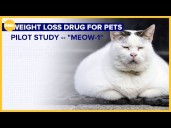 Weight-loss drugs for pets