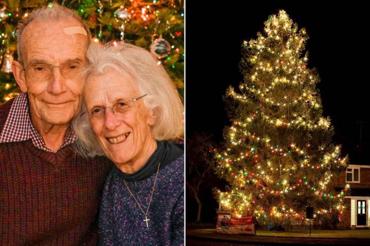 Woman Honors Late Husband by Decorating Christmas Tree They Planted Years Ago: Photo