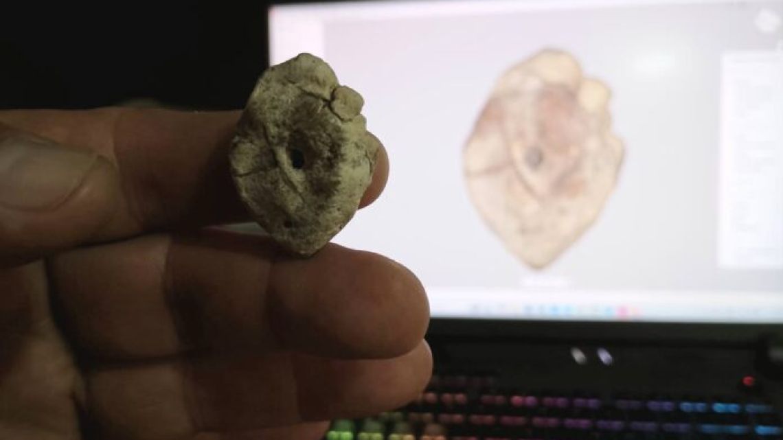 Descubren en Corrientes el primer registro fósil de un dinosaurio para la provincia