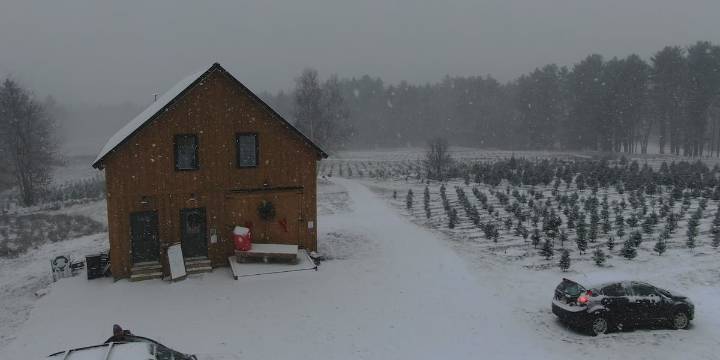 Winterport Evergreen Farm opens up for 1st season looking to create special holiday memories