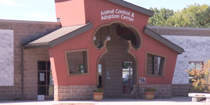 Thomas J. O’Connor Animal Control & Adoption Center ‘Giving Tuesday’ donation event