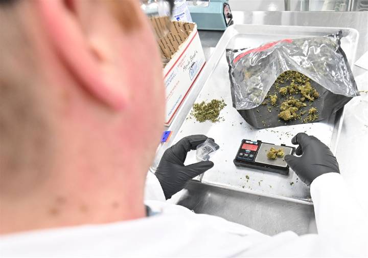 Hemp ban in government spending bill could destroy the industry