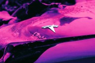 Founder of Mental Health Startup Has Epic Public Breakdown, Tries to Start Fire, Flees in Tesla, Crashes