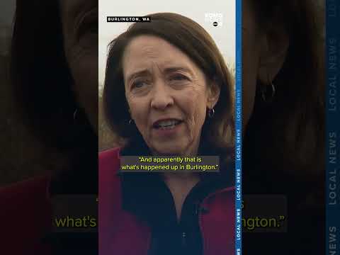 Burlington homes surrounded by water after Gages Slough floods area