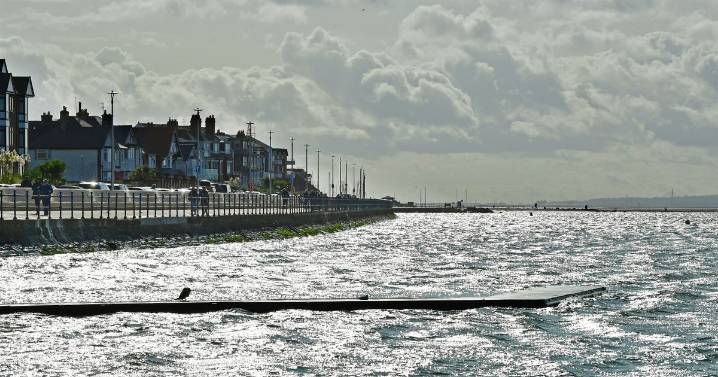 Council to search for millions to save town's 'treasure'