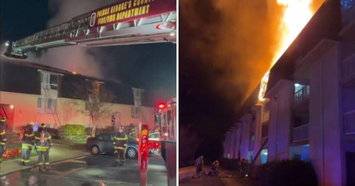 Maryland man charged with arson after allegedly setting fire to his Laurel apartment