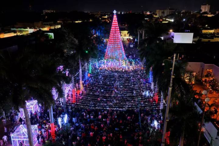 Llega la Navidad a Paseo de Montejo en Mérida: encienden el árbol de 20 metros de altura