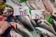 La tasa del IPC se sitúa al 3,4 % en noviembre, y los alimentos repuntan al 2,9 %