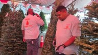 Anaheim Christmas tree lot creates jobs for people with special needs