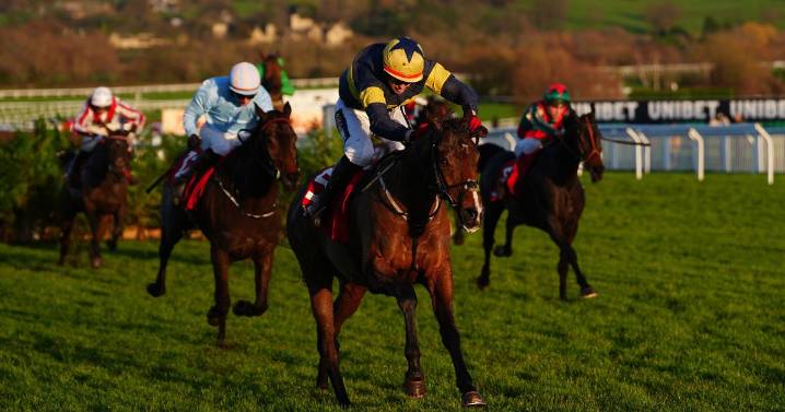 Gavin Cromwell-trained Final Orders thwarts huge gamble on favourite at Cheltenham