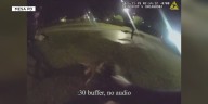 Mesa police defend officer shooting unleashed dog, release bodycam video