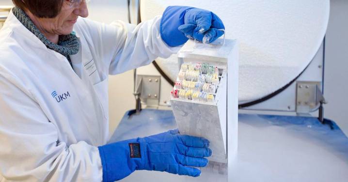 Casi 200 niños de 14 países europeos fueron engendrados con esperma de un donante portador de un gen cancerígeno