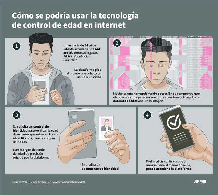 Un sistema en auge para identifi car a los menores en internet