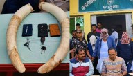 Ivory sale foiled in Odisha, tusks seized, 3 arrested