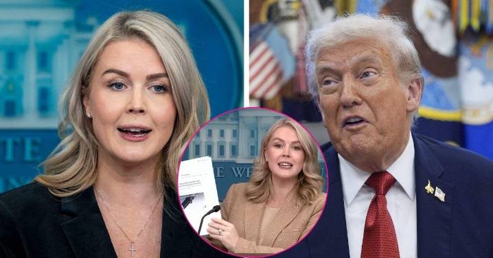 Karoline Leavitt Loses It After Donald Trump's Scaled