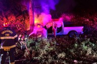 Driver rescued after truck crashes into tree and bursts into flames