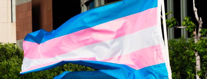 Judges Zero in on Transgender Terminology in Medicaid Care Case