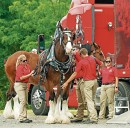 Anheuser-Busch is closing 3 plants. What that means for NY’s largest brewery near Baldwinsville
