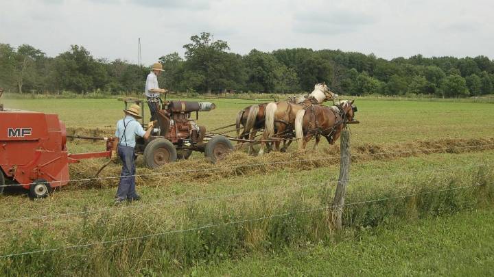 "Mock us, please!" Pennsylvania Mennonites Demand Equal Treatment by the Daily Bonnet