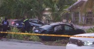 North Miami crash sends cars through fence; bus driver recounts close call