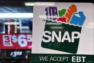 Impulsan proyecto de ley que exigiría incluir una fotografía en las tarjetas EBT del SNAP