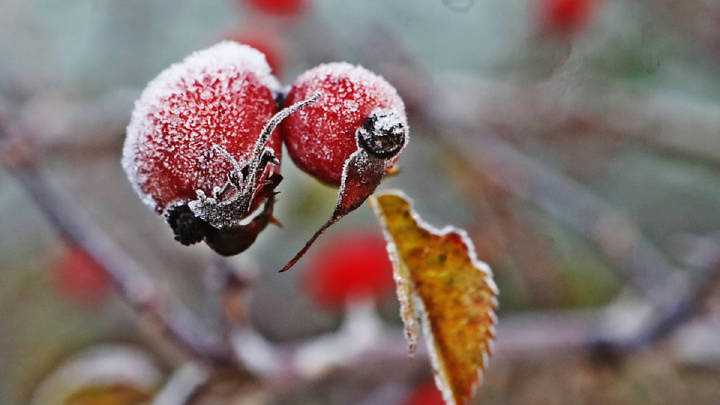 Visita a los pueblos del triángulo del frío en León