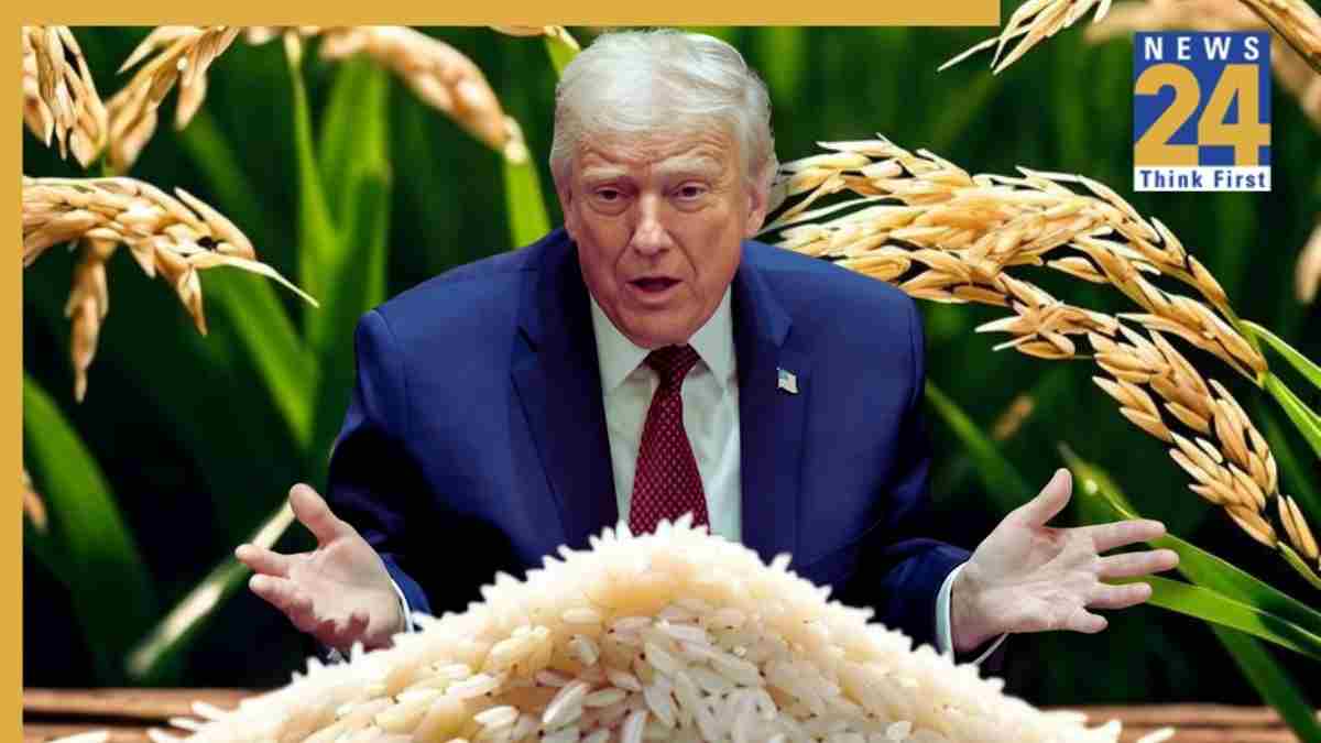 Trump targets India’s rice: Who pays the price?