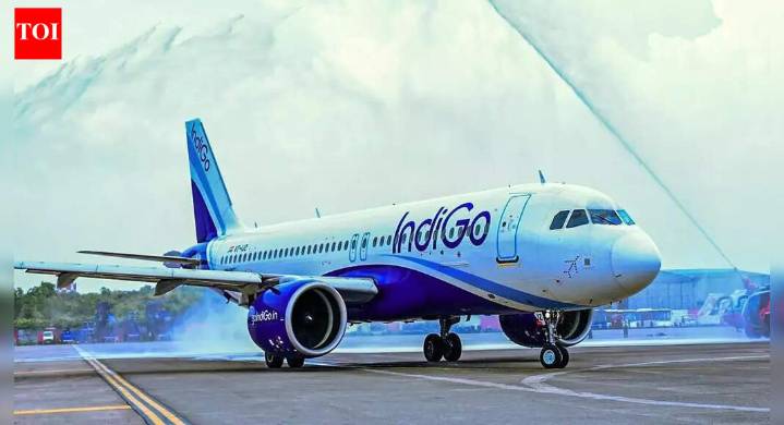 IndiGo cancellations: How to track flight & refund status online; step