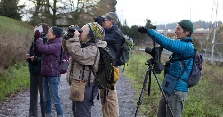 Bird Alliance of Oregon Celebrates 100th Annual Christmas Bird Count