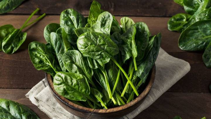 Palak Delights: Iconic Indian Spinach Recipes For Cold Winter Days