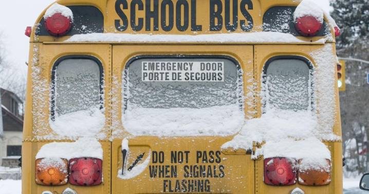 Snow day: School buses cancelled for waterloo region schools