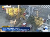 LA tree trimmer killed, impaled by fence after falling