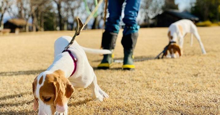 20 side hustle ideas to make extra money during the holidays and in 2026