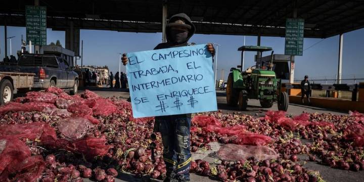 Caravana de tractores van rumbo a la Cámara de Diputados en la CDMX l En vivo