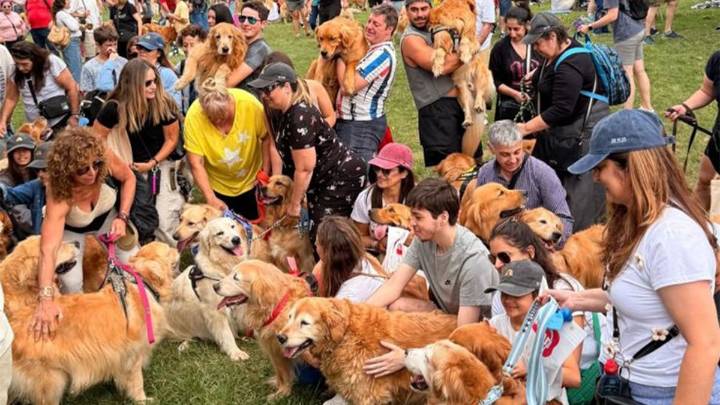 Miles de golden retriever coparon Palermo en una juntada histórica que rompió un récord mundial