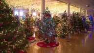 TreeFest continues making spirits bright in Bloomsburg
