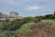 Desagües clandestinos contaminan la única playa pública de Asia a puertas del verano