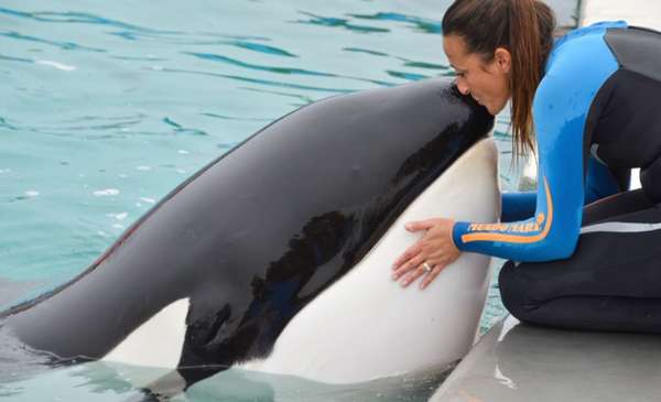Murió Kshamenk, la histórica orca de Mundo Marino