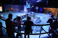 New accessibility listings help travelers of all abilities explore Cleveland