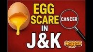 Video- Toxic Egg Scare in J&K: Govt Orders Urgent Probe After Adulteration Claims