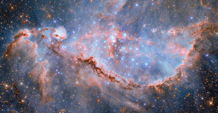 Sculpted by Stellar Winds