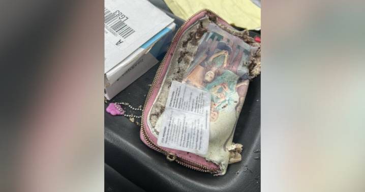 Stranger's kindness helps Lafayette woman after losing wallet